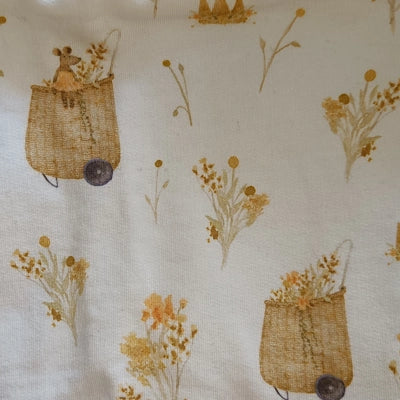 Braga de Cuello 2–6 – Canastos